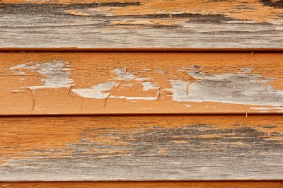 Dry Rot Siding Repair - Dry Rot Siding Repair Grand Junction, Colorado