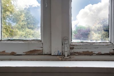 Window Rot Service