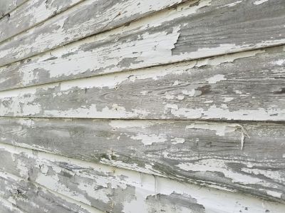 Get the Dry Rot Evaluated and Repaired!