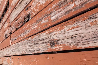 Remove Fungus Causing Dry Rot of Your Siding!