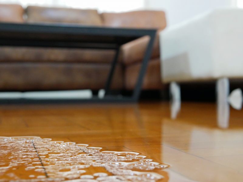 Repair Water Damage!
