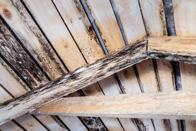 Damaged Framing Replacement