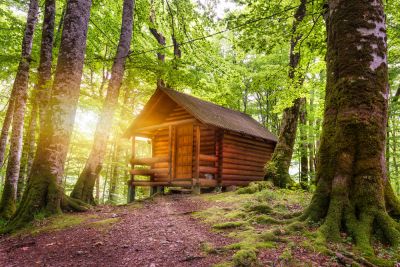 Cabin Building
