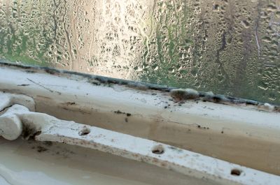 Address and Repair Window Rot!