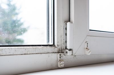 Increase the Longevity of Your Windows with Window Rot Repair!